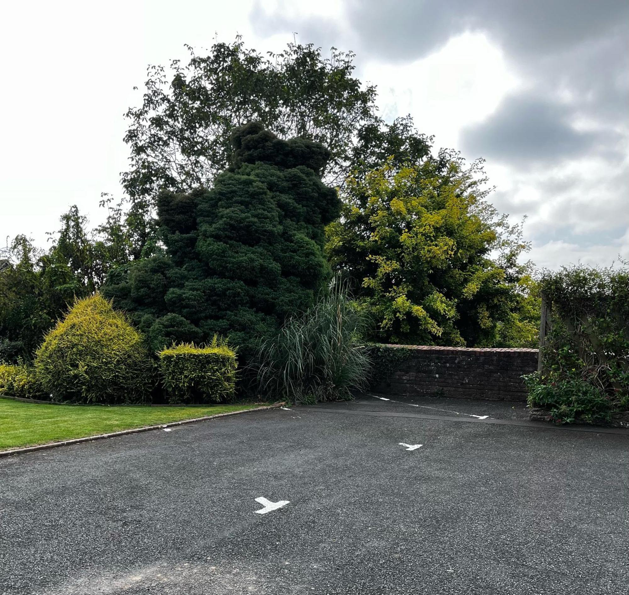 Flower Cottage By Ludlow Castle With Onsite Parking Exteriör bild