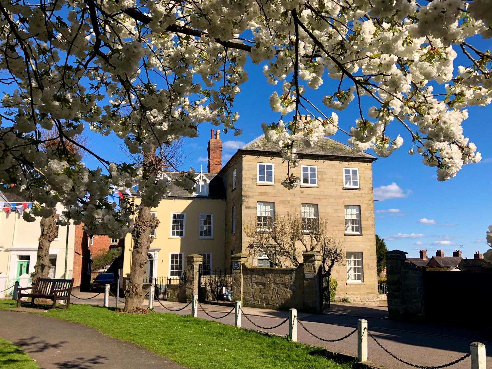 Flower Cottage By Ludlow Castle With Onsite Parking Exteriör bild